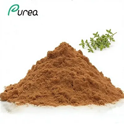 Ekstrakt z liści oregano w proszku